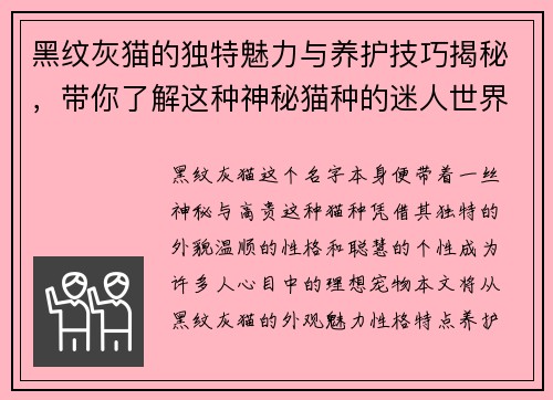 黑纹灰猫的独特魅力与养护技巧揭秘，带你了解这种神秘猫种的迷人世界